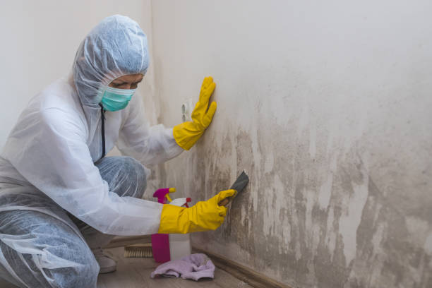 Best Crawl Space Mold Removal  in Akron, IA